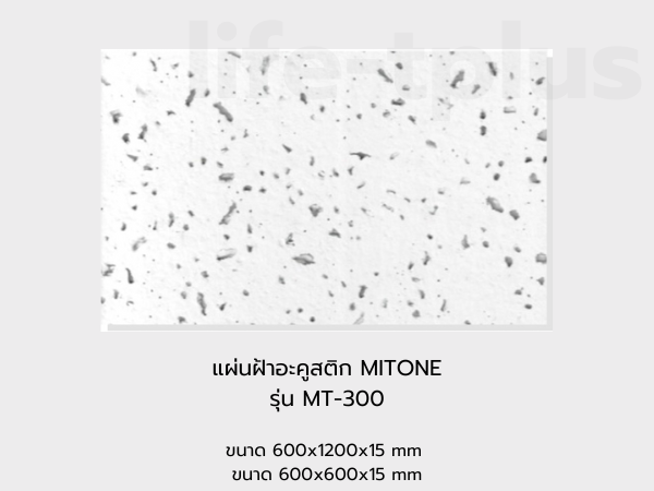 แผ่นฝ้าอะคูสติก MITONE รุ่น MT-300